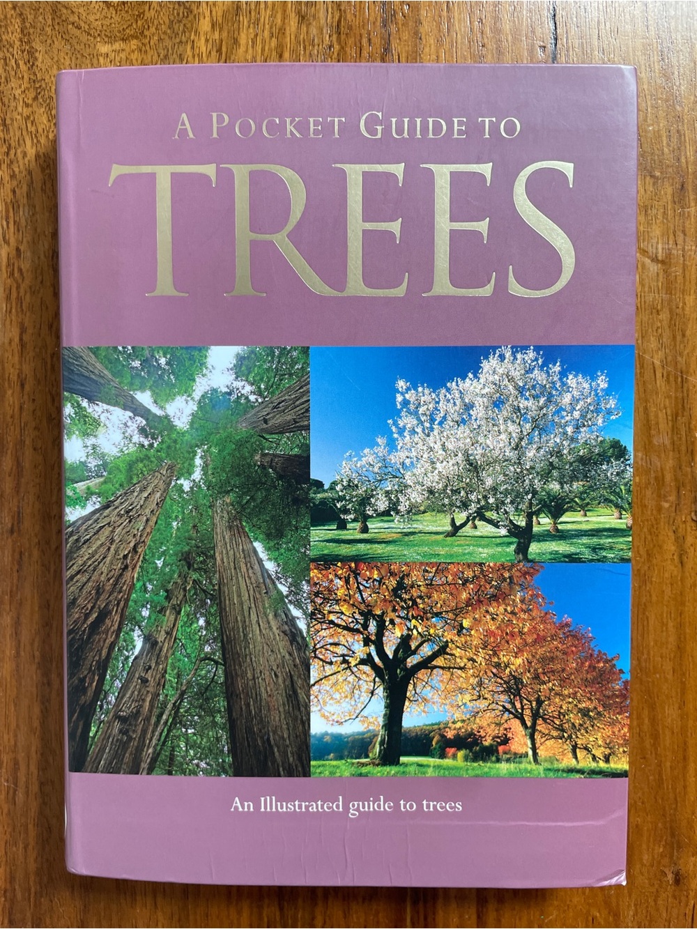 Parragon Publishing A Pocket Guide to Trees - Mauve Hardcover Guide